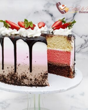 Neapolitan Cake